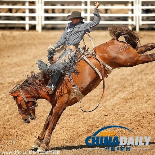 极速竞猜-Karsa赛事官方发布败北新规，加拿大队争议不断！的简单介绍